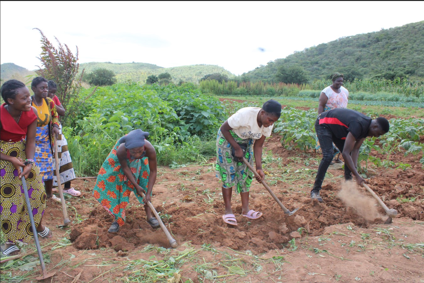 Agroecology